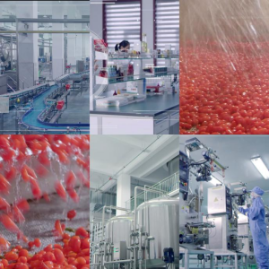 562c4bc1e29aa1dd1d0890605c68f52e.jpg 562c4bc1e29aa1dd1d0890605c68f52e.jpg