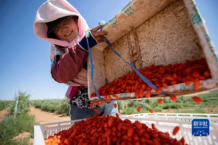 3e1b0a0ab018f2c94199da0697c67380.png 3e1b0a0ab018f2c94199da0697c67380.png