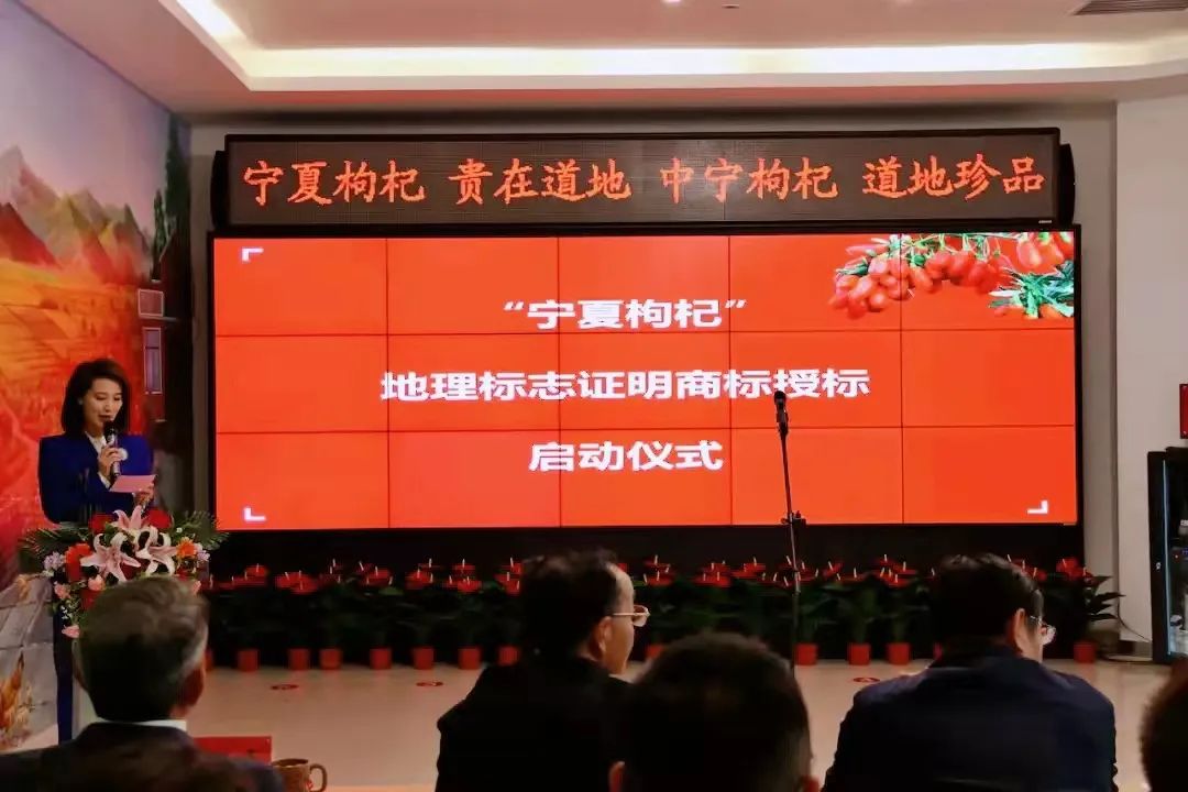 f2036e28a6fa2a112974598e8dc10f46.jpg f2036e28a6fa2a112974598e8dc10f46.jpg