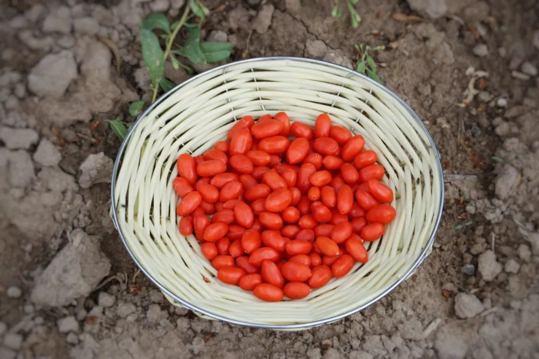 1cf25ff8b549590a57a10964249ae9e5.jpg 1cf25ff8b549590a57a10964249ae9e5.jpg