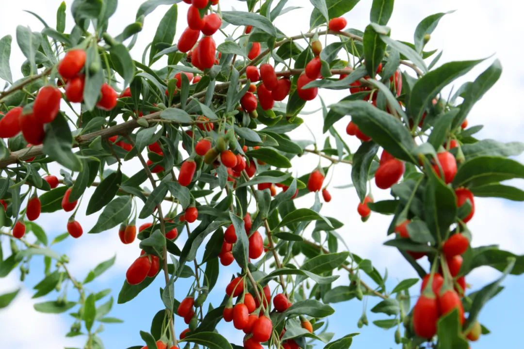 84163af06b573963b6384a3cf1be5e41.jpg 84163af06b573963b6384a3cf1be5e41.jpg