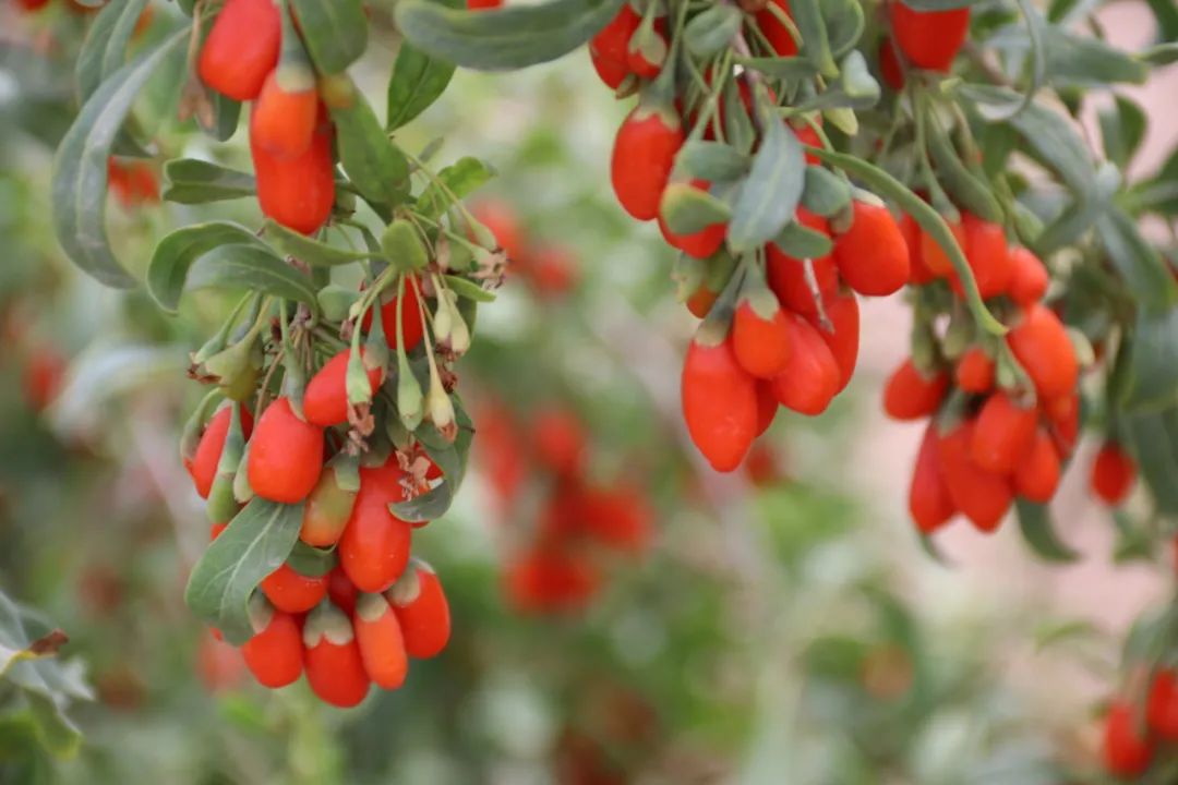 2f36c583c8a10aea4ff732ef5b1c5762.jpg 2f36c583c8a10aea4ff732ef5b1c5762.jpg